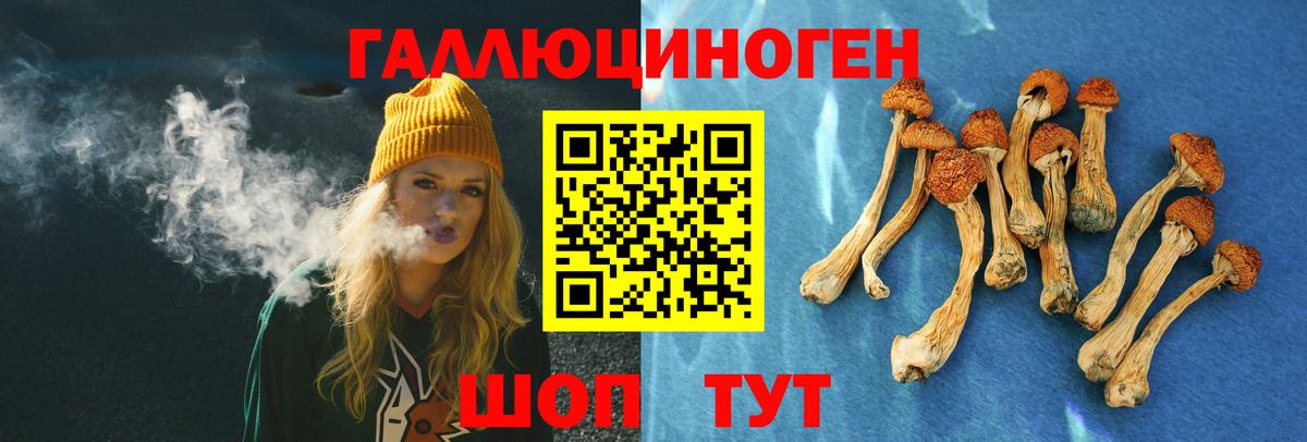 Борисоглебск  где продают   Вход с VPN  Псилоцибиновые грибы Cubensis  Псилоцибиновые грибы мухоморы 